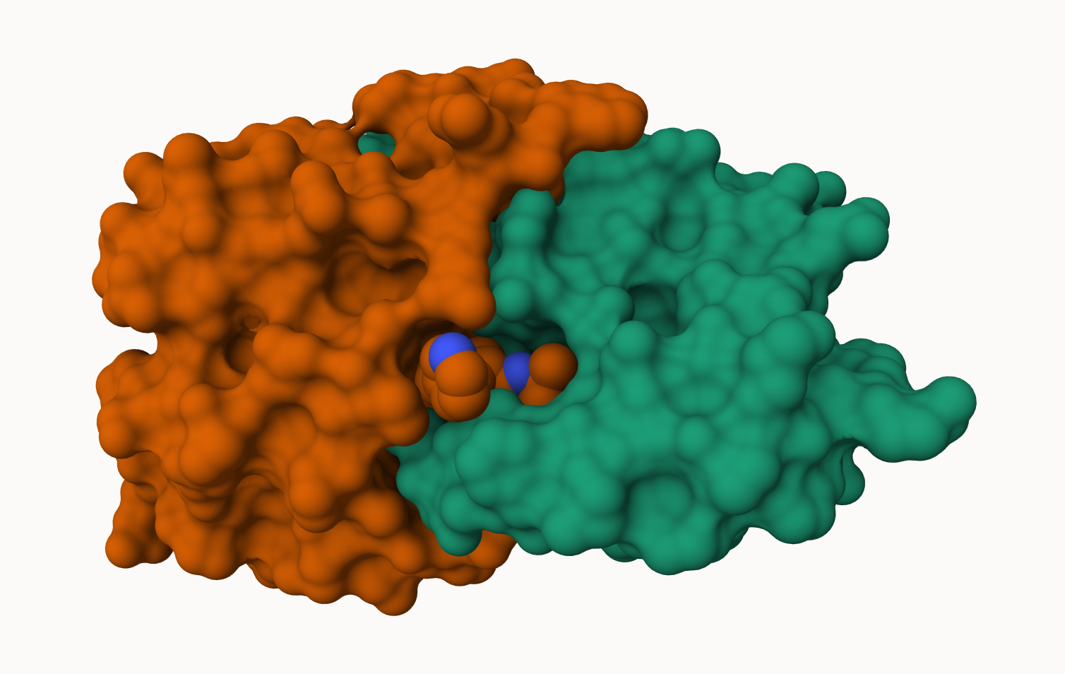 Image of HIV-Protease with surface display showing ligand binding